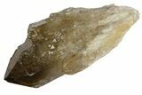 Smoky Citrine Crystal Cluster - Lwena, Congo #157281-1